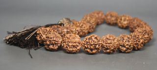 Chinese Old Buddha Nut Beads photo