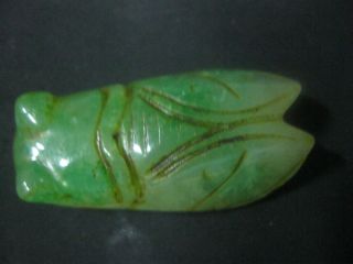 Stunning Design Chinese Green Jade Pendant /cicada Pendant photo