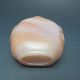 Chinese Agate Hand - Carved Snuff Bottle Nr/xb2102 Snuff Bottles photo 5