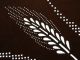 Is360 Japanese Ise Katagami Kimono Stencil Pattern Print Barley Rice Leaf Grain Kimonos & Textiles photo 1