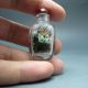 Fine Chinese Inside Hand Painted Small Glass Snuff Bottle 02 Incense Burners photo 2