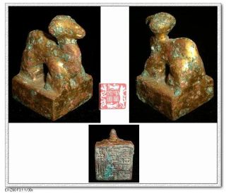 Vintagechina Han Minority Leader Stamp Gold Camel Statue Signet Bronze Seal汉率善长印 photo
