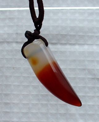 A Wonderful Red Agate Pendant Carved With Tiger - Tooth Shape photo