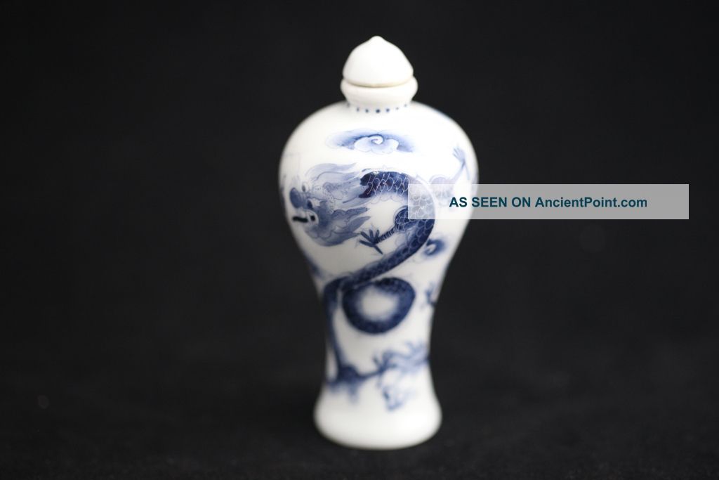 Exquisite Hand Painting Chinese Dragon Porcelain Snuff Bottle Snuff Bottles photo