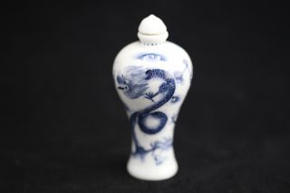 Exquisite Hand Painting Chinese Dragon Porcelain Snuff Bottle photo