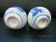 Chinese Two White And Blue Snuff Bottle Classical Style Snuff Bottles photo 3