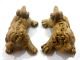 Chinese Male And Female Lions Wood Hand Curved Traditional Style High Detailed Other photo 5