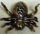 Wealth Spider Wealth,  Rich,  Lucky,  Good Business Attraction Amulets photo 4