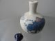 Porcelain Snuff Bottles Chinese Lotus And Leaves Goldfish Exquisite 11 Snuff Bottles photo 2