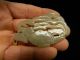 Antique Chinese Jade Pendant Whale With Seaweed 19th Century Necklaces & Pendants photo 2