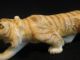 Polychrome Chinese Japanese Ox Bone 象牙 Figure Carving Tiger,  Good Cond Tigers photo 4