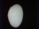 Chinese White Color Jade Carving Of A Brid With Flower Other photo 4