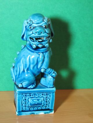 Chinese Export Turquoise Porcelain Fu - Dog photo