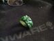 Rare Vintage Carved Dark Spinach Green Jadeite Jade Fox Brings Money Finger Ring Rings photo 1
