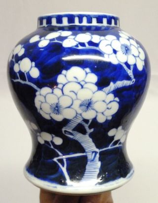 19th/20th Century Chinese Blue & White Porcelain Prunus Vase - Hand Painted photo