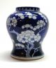 19th/20th Century Chinese Blue & White Porcelain Prunus Vase - Hand Painted Vases photo 1