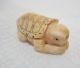 Antique Japanese Netsuke Carved Faux Ivory Ox Bone Turtle Bead Tortoise Carving Netsuke photo 1