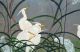 Japanese/chinese Four Panel Byobu Folding Screen/hanging Hand Painted With Stork Other photo 1