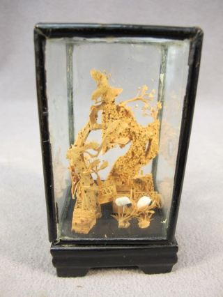 Old Chinese Hand Carved Cork In A Glass Case 08252 photo