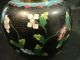 19th C.  Chinese Cloisonne Enamel On Bronze Covered Jar Other photo 2
