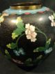 19th C.  Chinese Cloisonne Enamel On Bronze Covered Jar Other photo 3