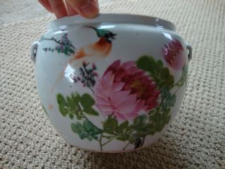 Antique Chinese Porcelain Bird Flower Vase Censor Incense Jardiniere Jar 1918 photo