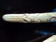 Antique Carving Set With Carved Oxbone Alligator Handles Unusual Crocodile Other photo 7