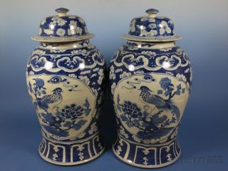A Pair Large Stunning Chinese Blue And White Porcelain Pot photo