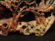 19th Century Chinese Carved Soapstone Vase,  Unusual Coloration Vases photo 4