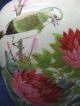 Large Chinese Rose Famille Ginger Jar W/ Coa Vases photo 2