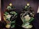 Rare Pair Kangxi Revival Chinese Famille Noire Balluster Jars Birds & Butterfles Vases photo 1