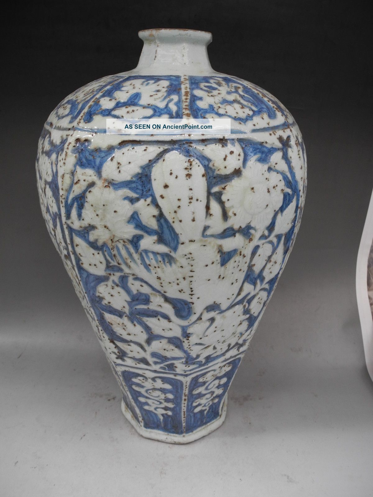 Chinese Bule & White Phoenix Porcelain Vase Vases photo