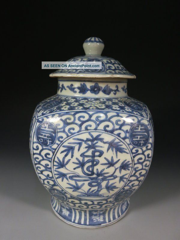 A Stunning Chinese Blue And White Porcelain Pot Vases photo