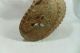 A224 28cm Old China Bronze Armor Of Head/armet Other photo 3