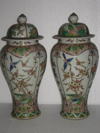 Pair Stunning Chinese Porcelain Flower Birds Vases photo