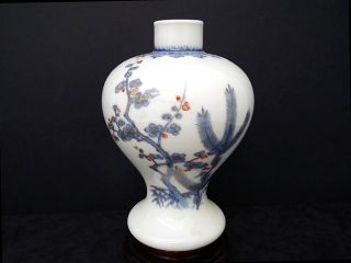Fine Chinese Meiping Porcelain Antique Vase - 19th Century photo