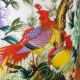 Antique Chinese Family Porcelain Vase - Phoenix Vases photo 1