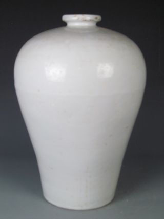 Fine Chinese Rare Purely White Porcelain Dragon Vases photo