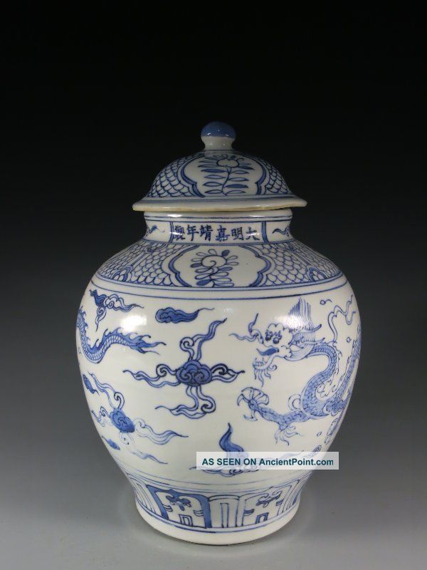 A Stunning Chinese Blue And White Porcelain Dragon Pot Vases photo