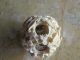 Antique Chinese Faux Ivory Ox Bone Carved Mystery Ball / Puzzle Ball Other photo 1