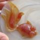 100% Chinese Carved Agate Goldfish Plates Other photo 5