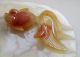 100% Chinese Carved Agate Goldfish Plates Other photo 6