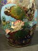 Fabulous 19th C.  Japanese Cloisonne Enamel On Bronze Vase W/ Manchurin Crane Vases photo 1