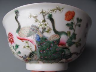 Fine Chinese Famille Rose Porcelain Peafowl Bowl photo