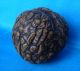 Antique Chinese Hand Carved Walnut Shell - Monks,  Flowers And Leaves Other photo 8