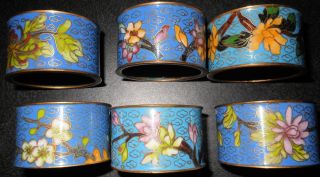 6 Chinese Cloisonne Napkin Rings,  Different Flowers,  Heavy photo