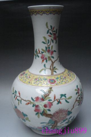 Chinese Famille Rose Pomegranate Porcelain Vase photo