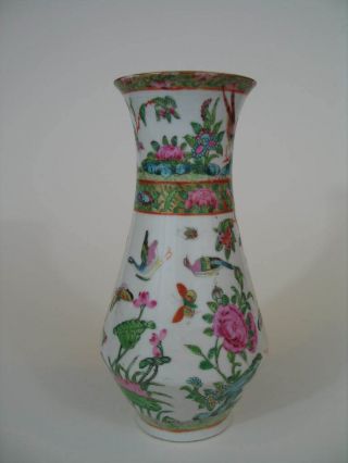 Antique Chinese Famille Rose Porcelain Vase,  19th Century photo