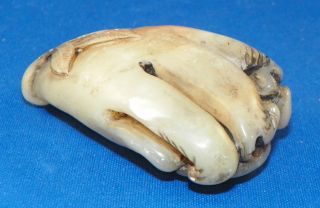 Chinese Carved Hardstone Buddha ' S Hand Citron 19th Century photo