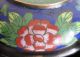 Antique Chinese Cloisonne Bowl Floral Mums Pre 1900 Squat Dish Unsigned 3 1/2 